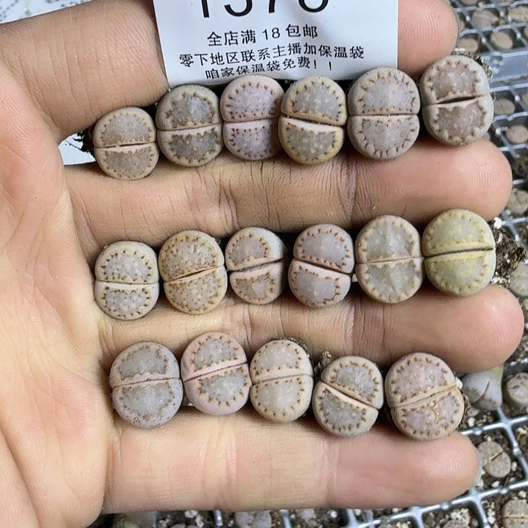 周***周1378 哈哈哈哈哈哈哈哈哈哈