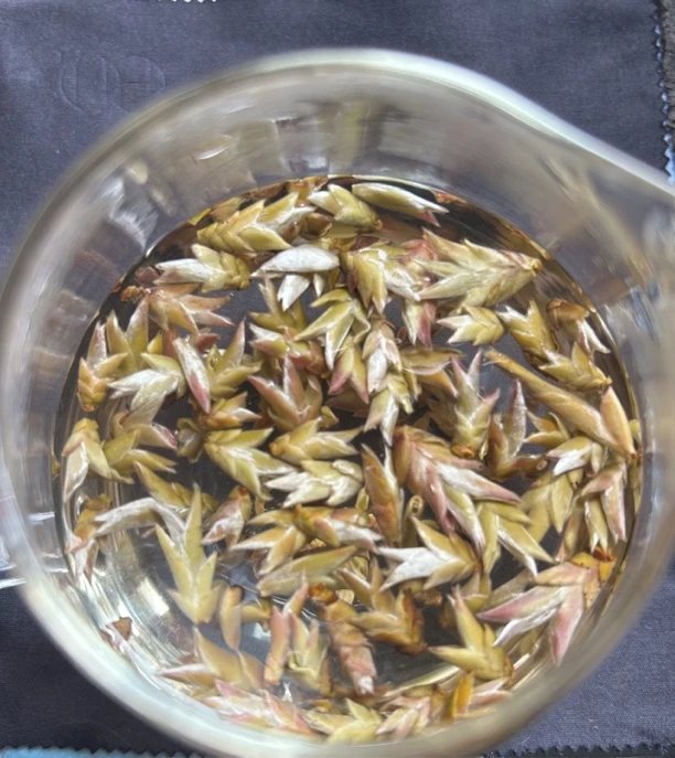 云南高山普洱野茶（雪山紫芽苞白茶）