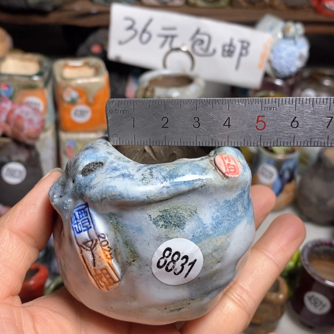 花盆拍1送一个小礼物