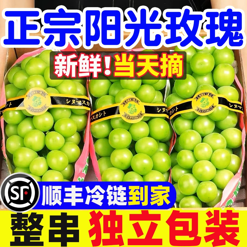 【顺丰包邮】正宗阳光玫瑰青提高山葡萄甜蜜爆汁青提葡萄自然熟甜