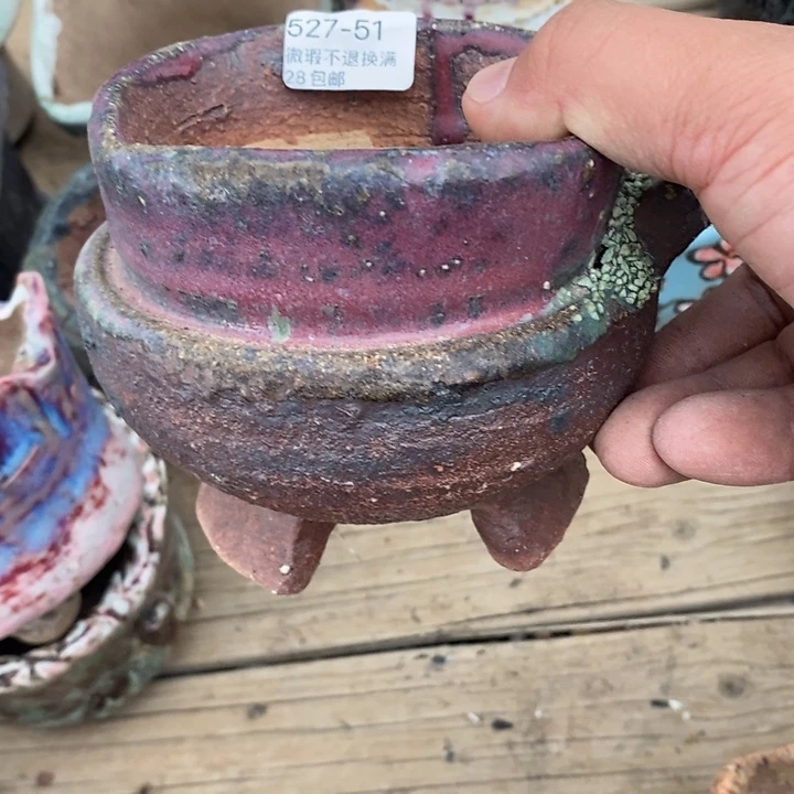 L****翼51号花盆满28包邮