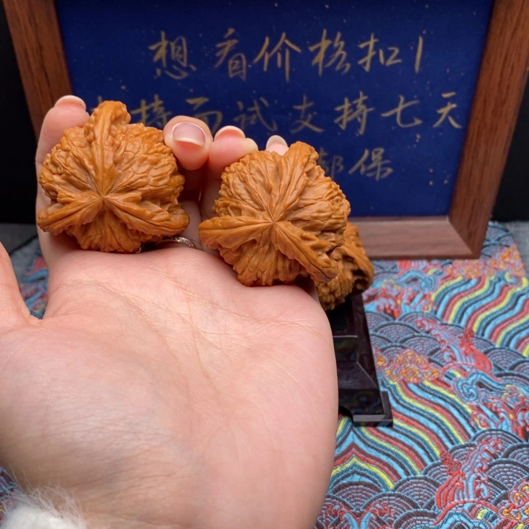 【闪购商品】猫*志白狮