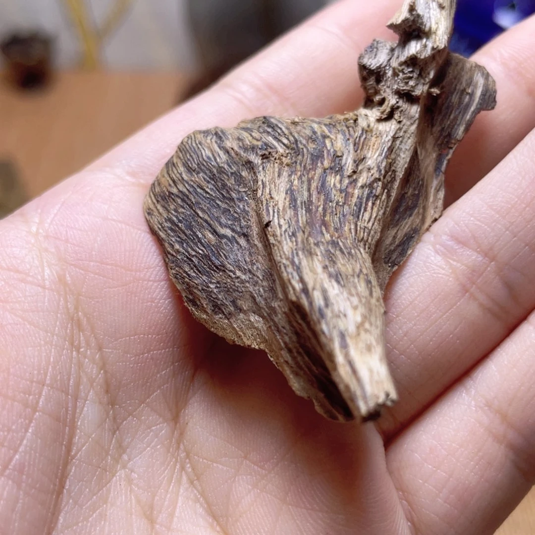 香榧木海南母树绿棋楠原料3g