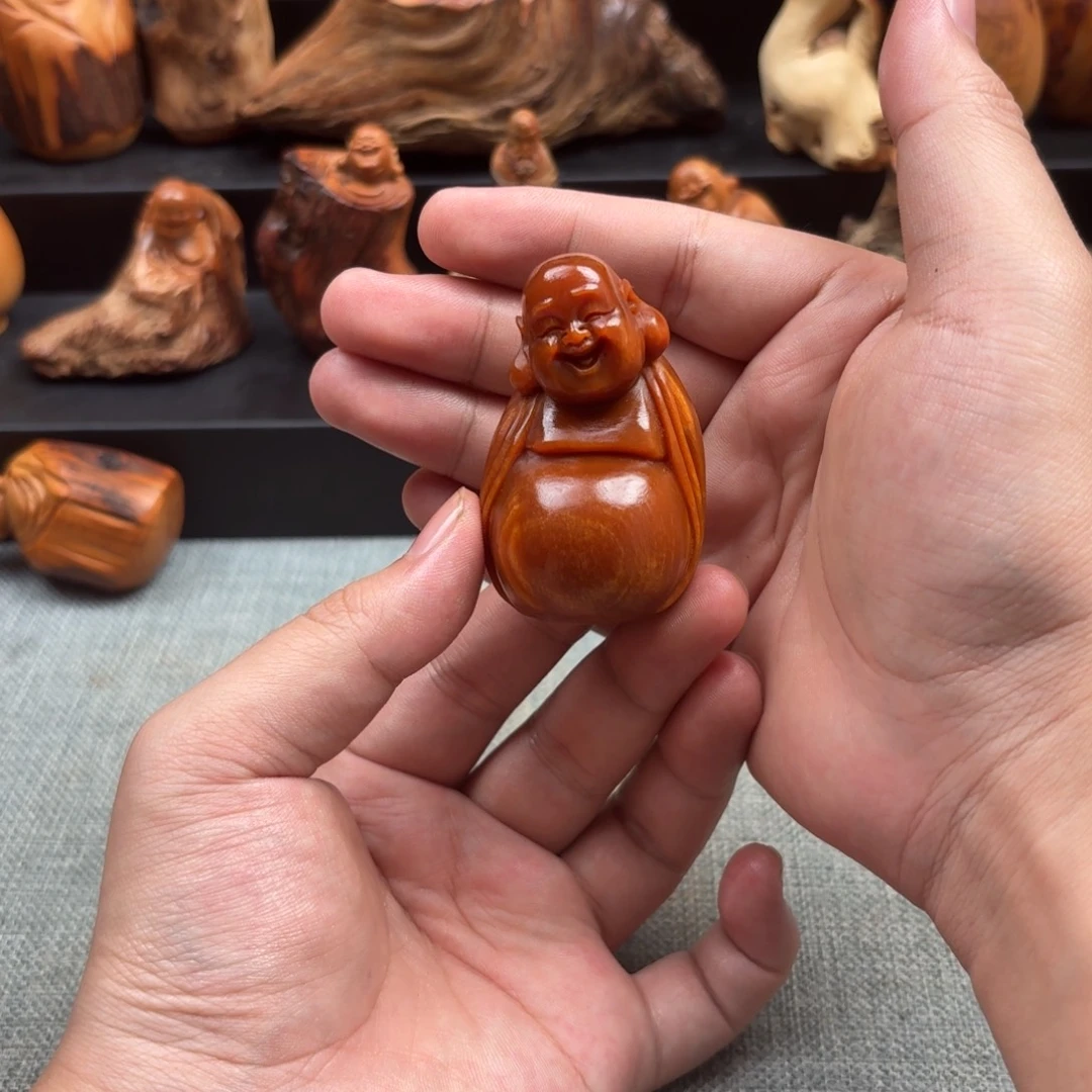 柏木（崖柏）太行崖柏