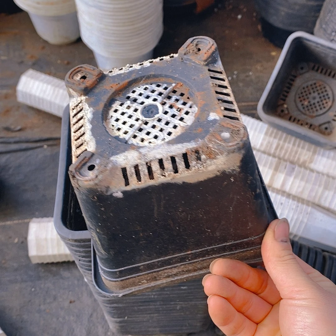 塑料旧14公分黑方盆加厚20个