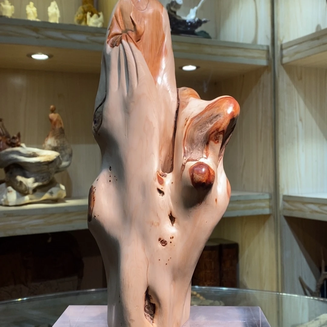 柏木（崖柏）太行18858966