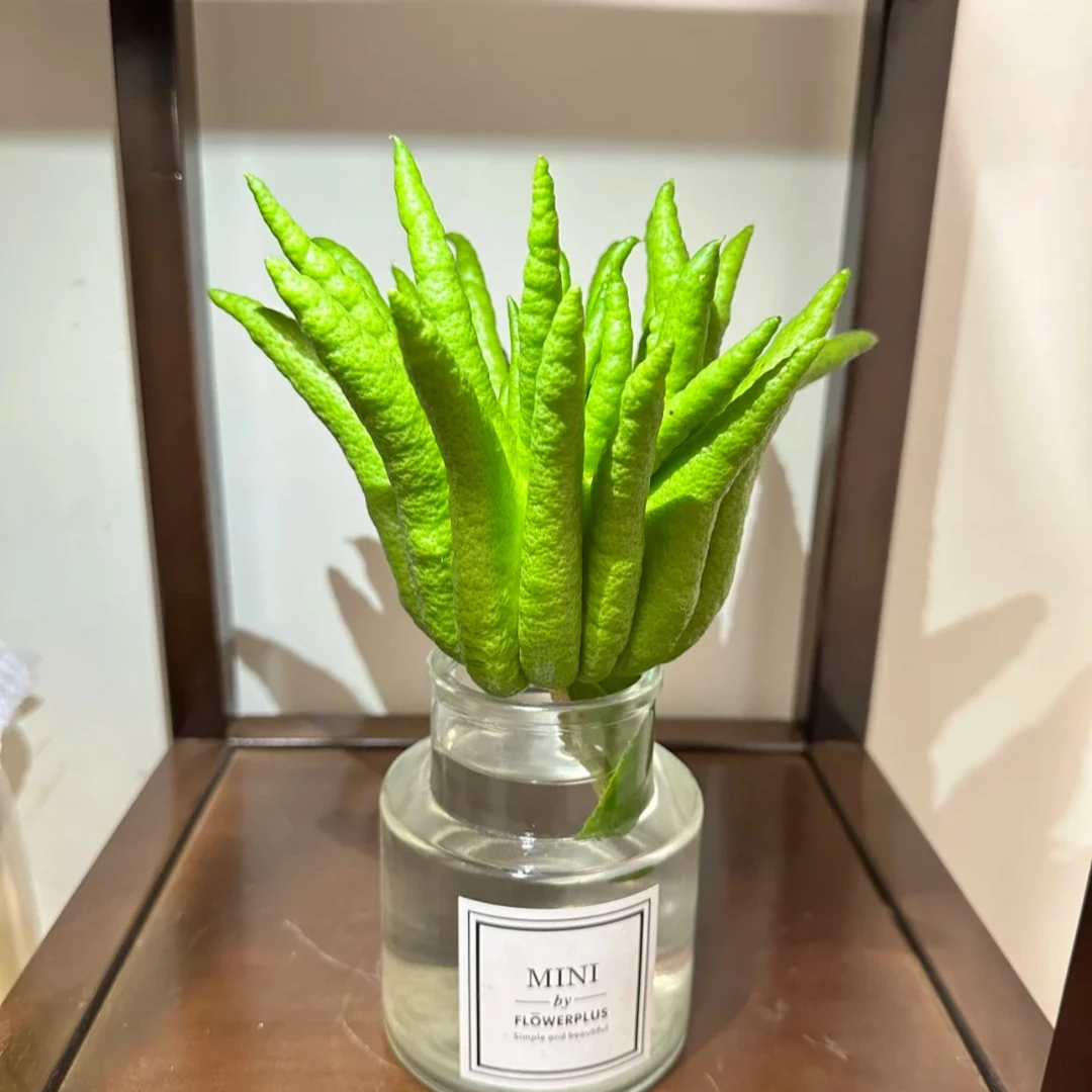 yc云南佛手3斤果王柑闻香鲜果带枝新鲜高山佛手瓜柑水培摆件室内