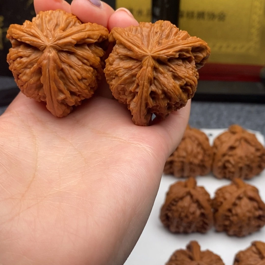 不****王白狮子111111111