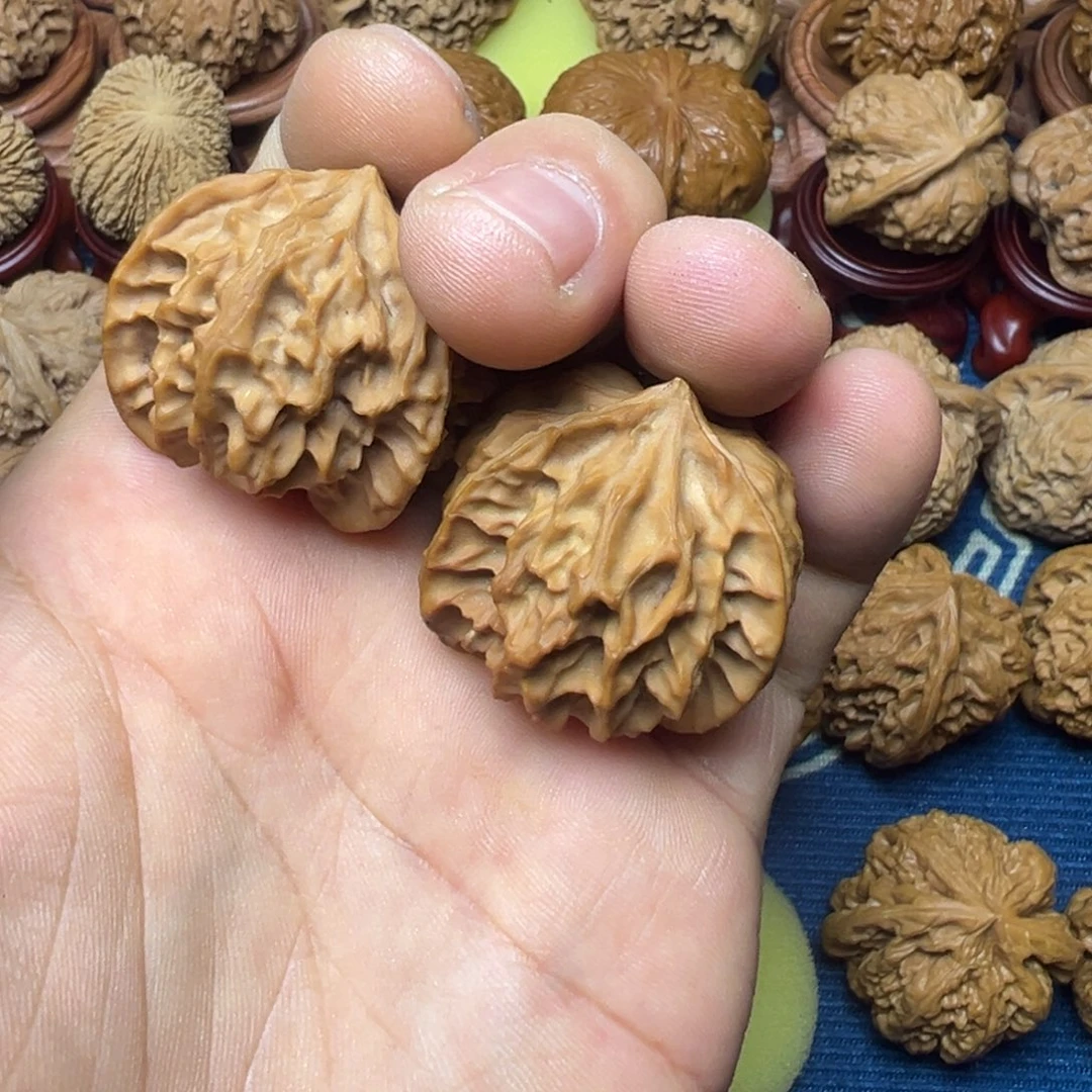 呕***吼木质三棱三棱三棱