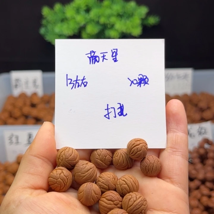 桃核手串13左右满天星