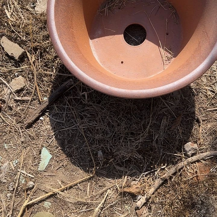 我会想要把所有都带回去