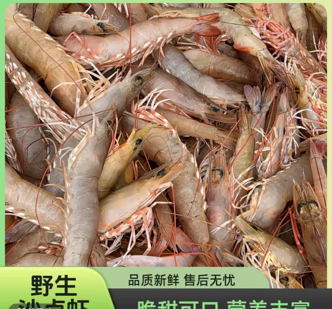 惠来神泉本港沙卢虾广东省包邮