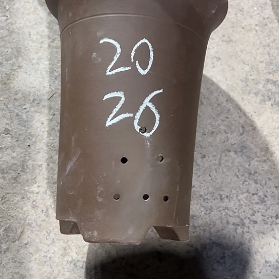 紫砂工艺厂……紫砂工艺厂……