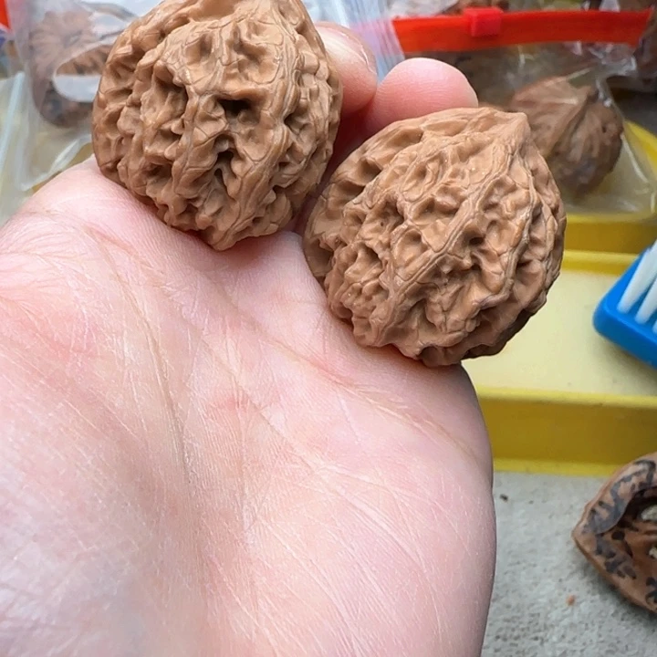 文玩核桃吊坠张*太行龙纹37