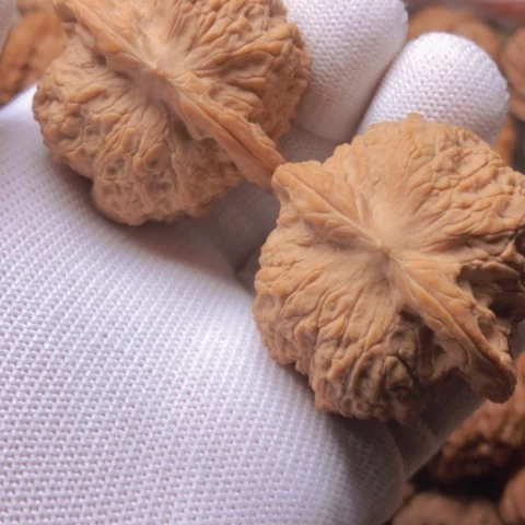 【闪购商品】桃核吊坠血麒麟狮子头