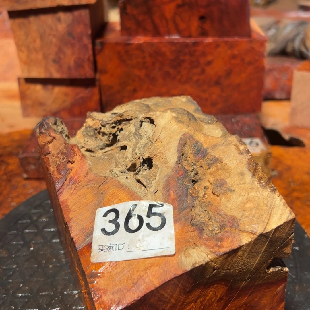 大果紫檀（缅甸花梨）