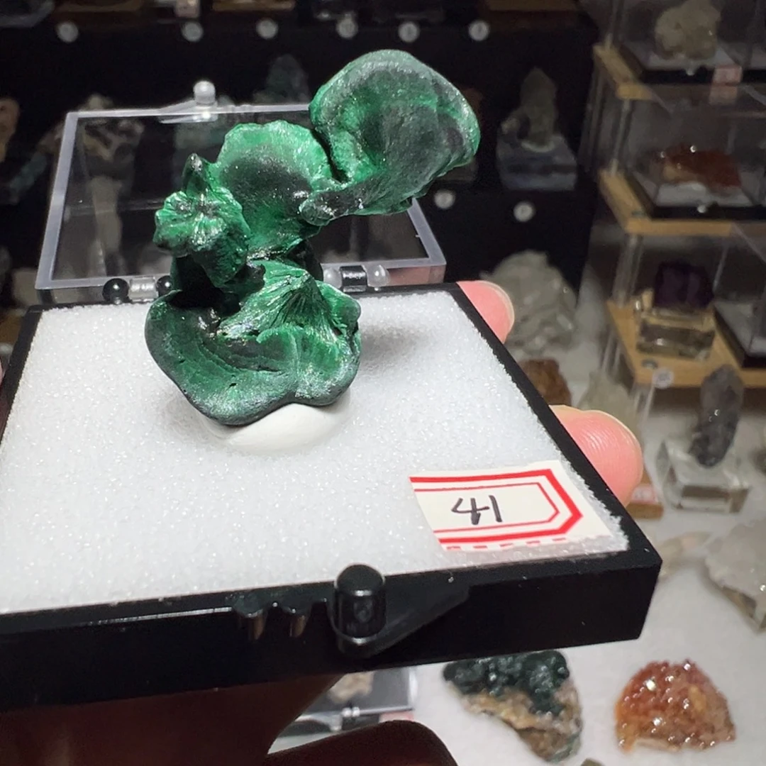 银S925镶嵌大型摆件（非配饰）紫晶
