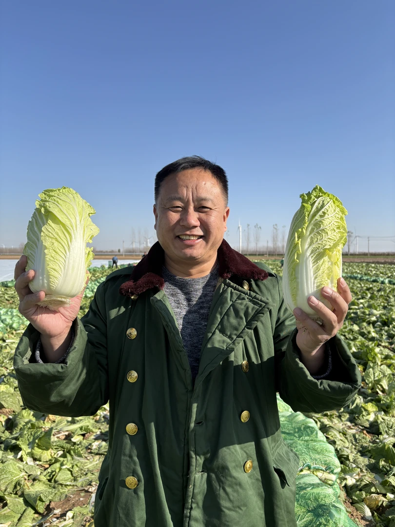 河南老家 助农娃娃菜 5斤装
