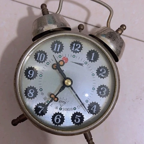 香榧木大***观Tggfghfghvgvcv