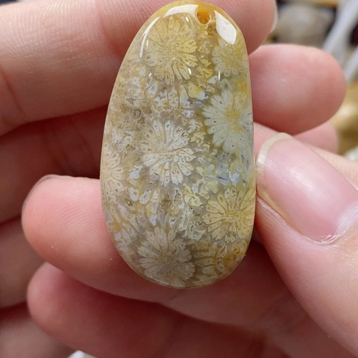 硅化珊瑚（珊瑚玉）颈饰未镶嵌