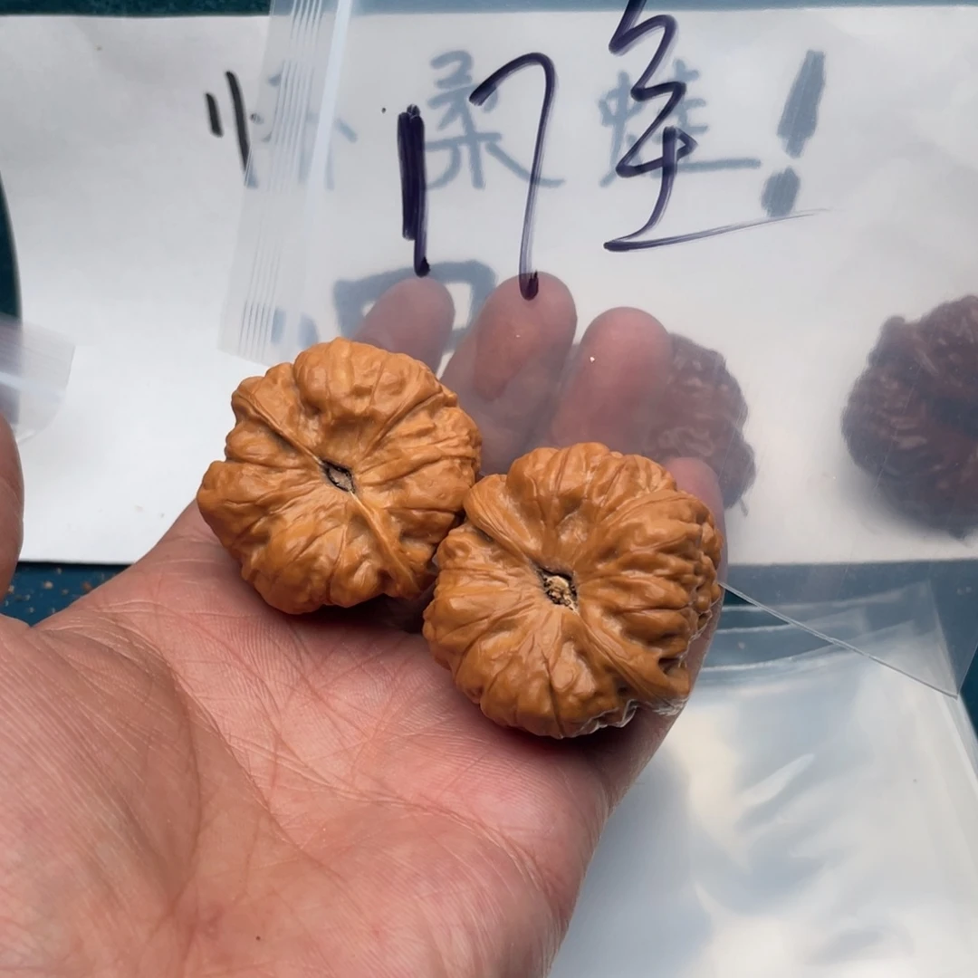 核桃573735735357753753573357