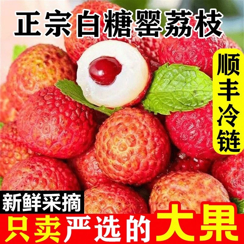【顺丰/京东随机发】白糖罂荔枝正宗高州白糖罂现摘先发