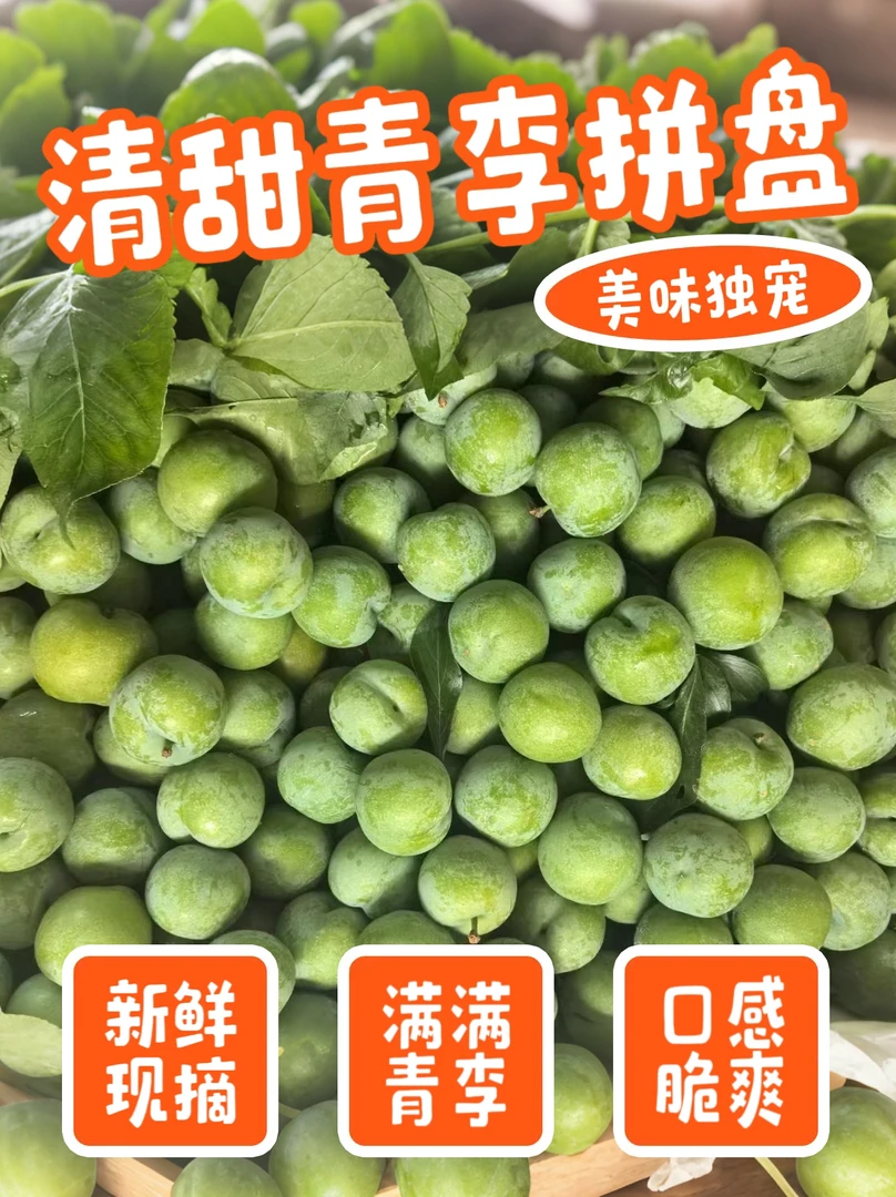 云南青翠脱骨李酸脆爽口当季孕妇水果