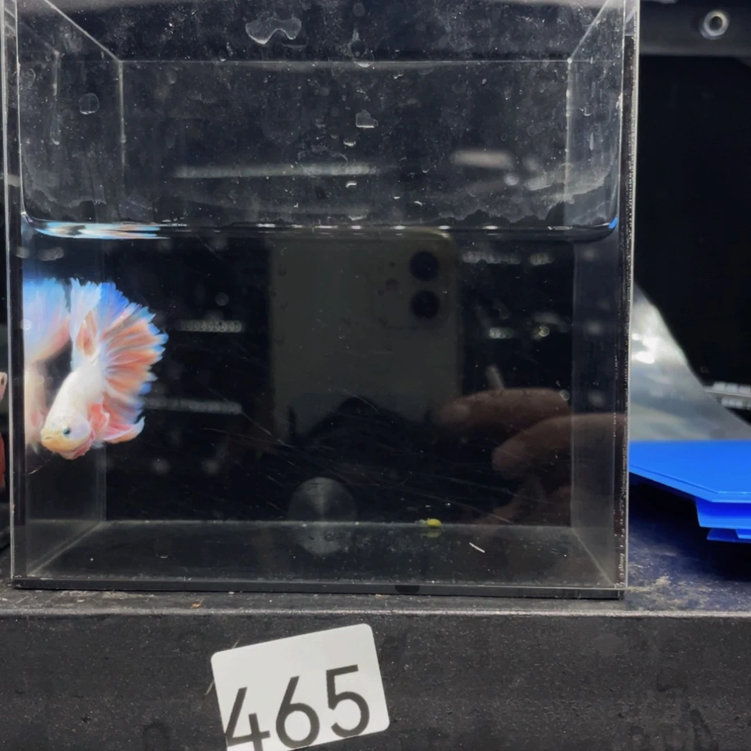 海水哈哈啊哈哈哈哈哈哈次