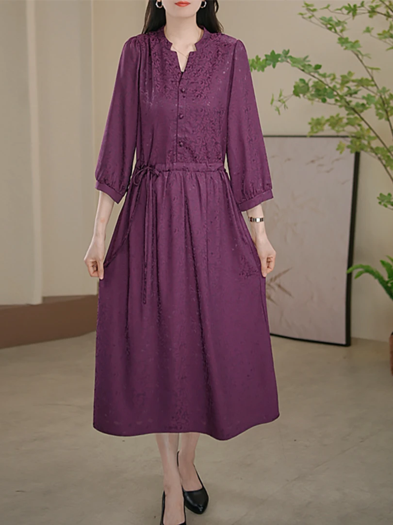 3001  高品质收腰显瘦气质时尚连衣裙