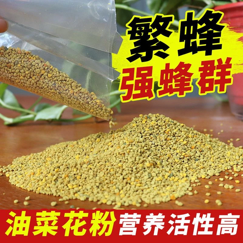蜜蜂油菜饲料蜂花粉花粉粉末中蜂专用天然颗粒油菜花养蜂