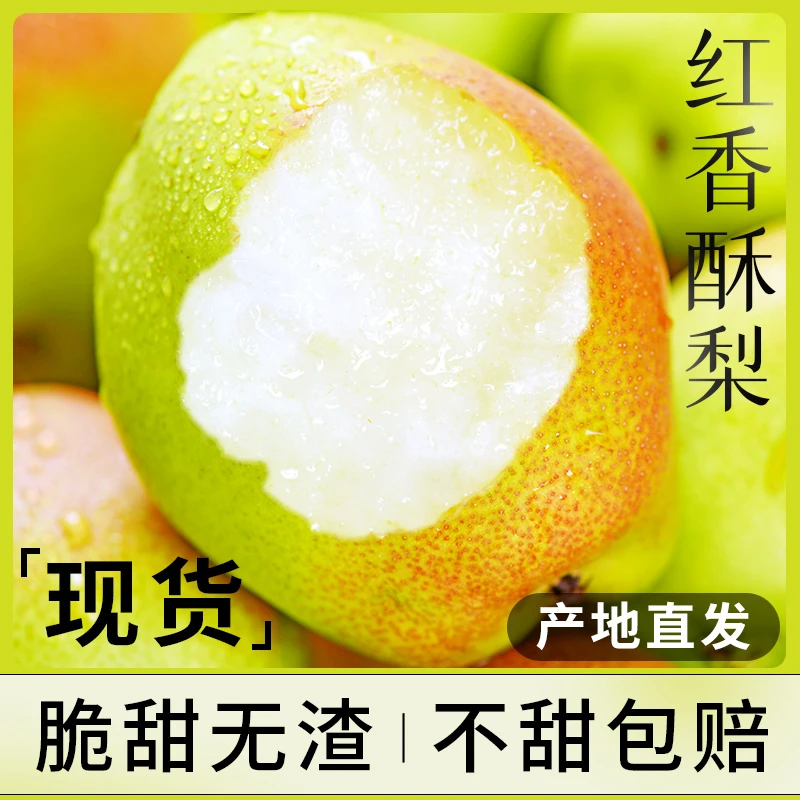 山西运城红香酥梨新鲜水果当季应季整箱产地直发