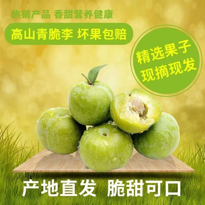 重庆市梁平区曲水脱骨青脆李脆甜脆甜