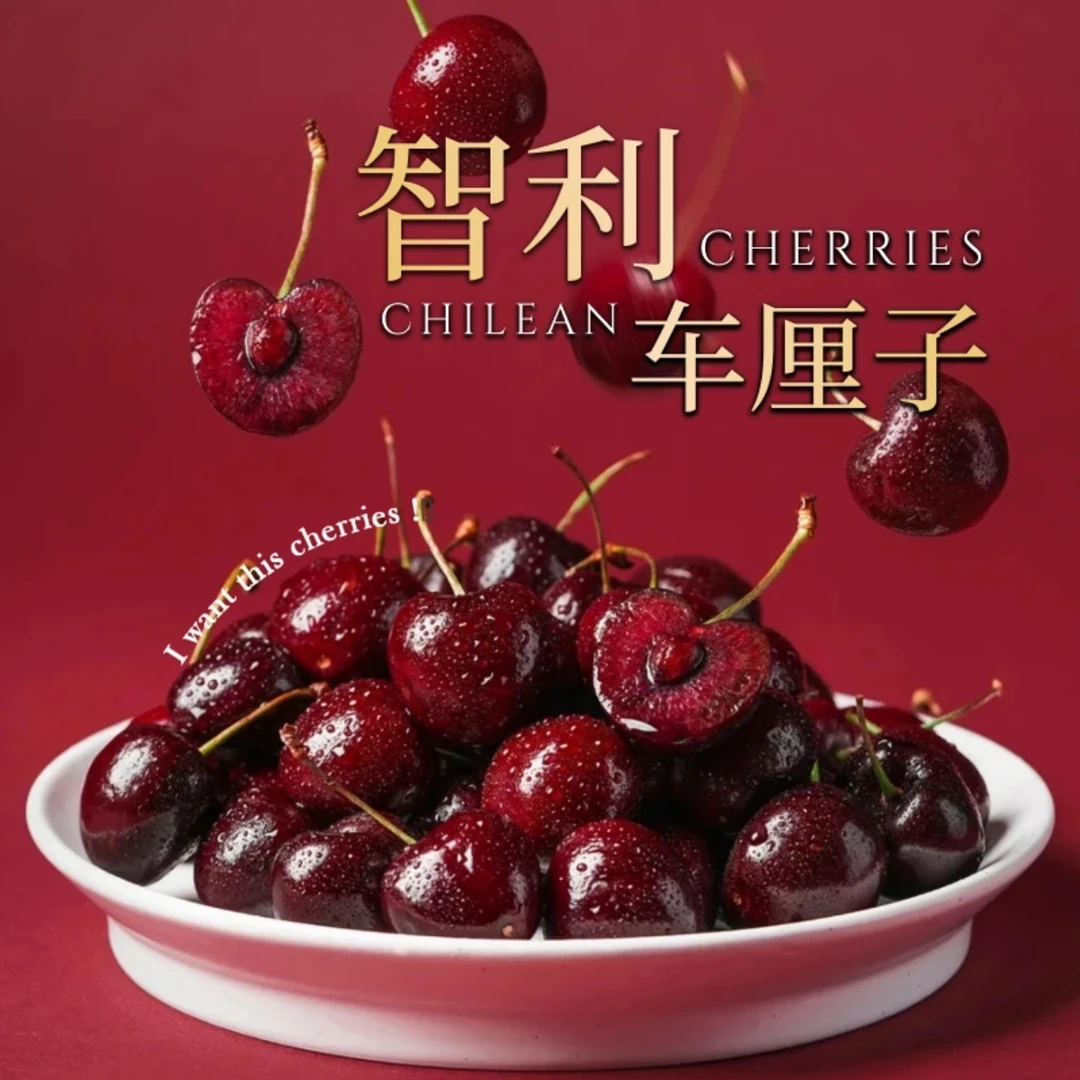 3-4JD果王【明天到】智利进口空运车厘子鲜水果头茬宝宝孕妇水果内附果径卡2500g桑提娜樱桃智利共和国