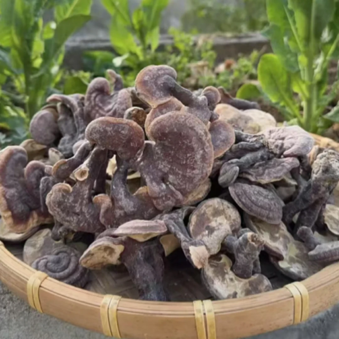 龙龙优选神农仙草灵芝200g