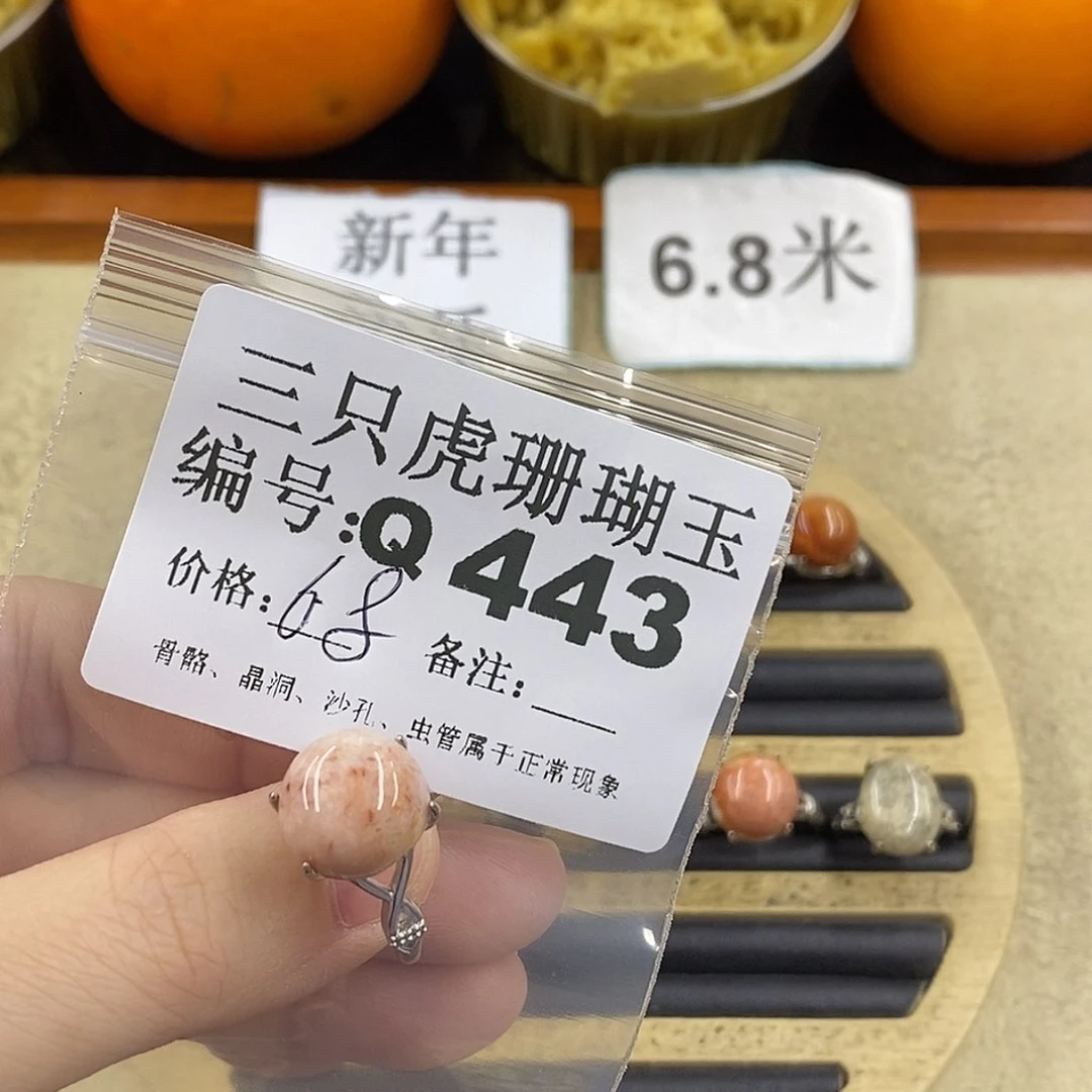 硅化珊瑚（珊瑚玉）1未镶嵌純