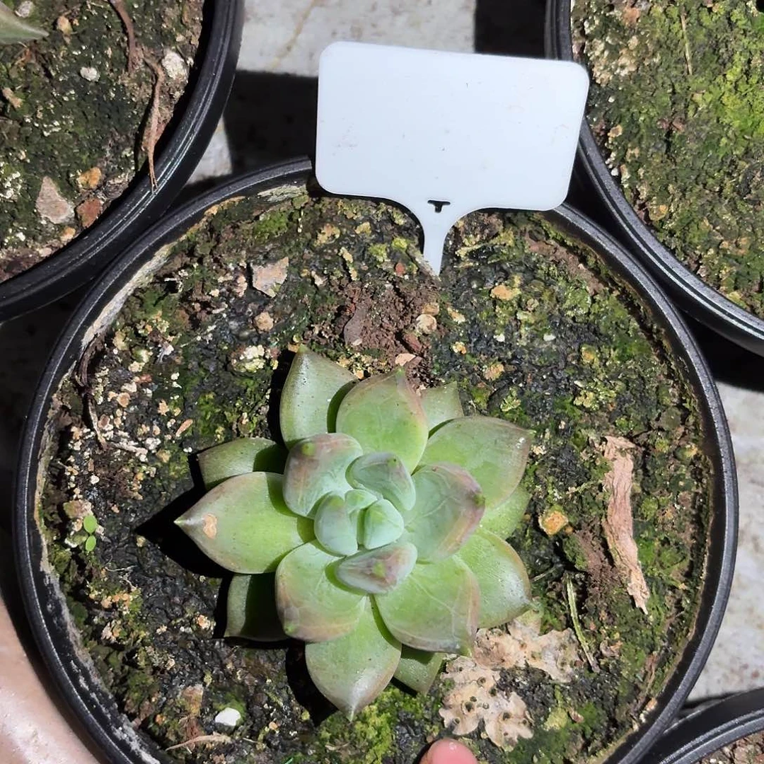 牵手877777777777777777