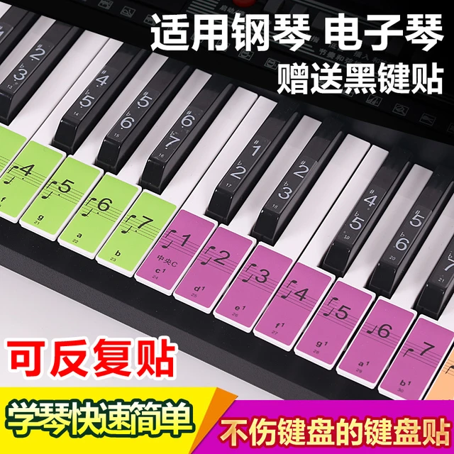 886154电子琴钢琴彩色键盘贴初学者钢琴贴纸音标音符贴五线简谱