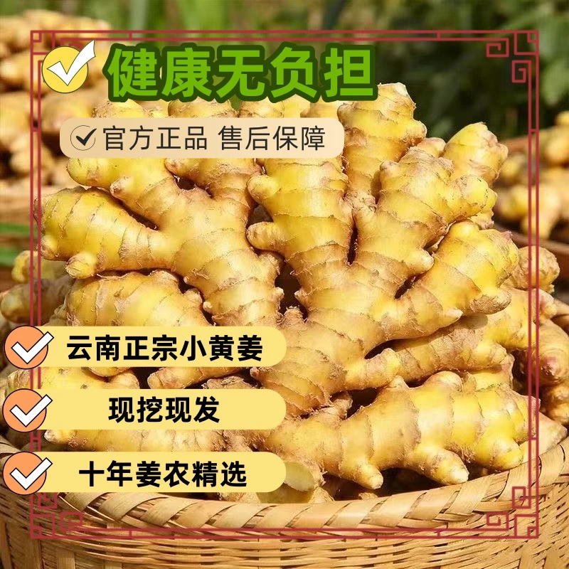 云南新鲜现挖小黄姜农家自种月子姜辛辣蔬菜