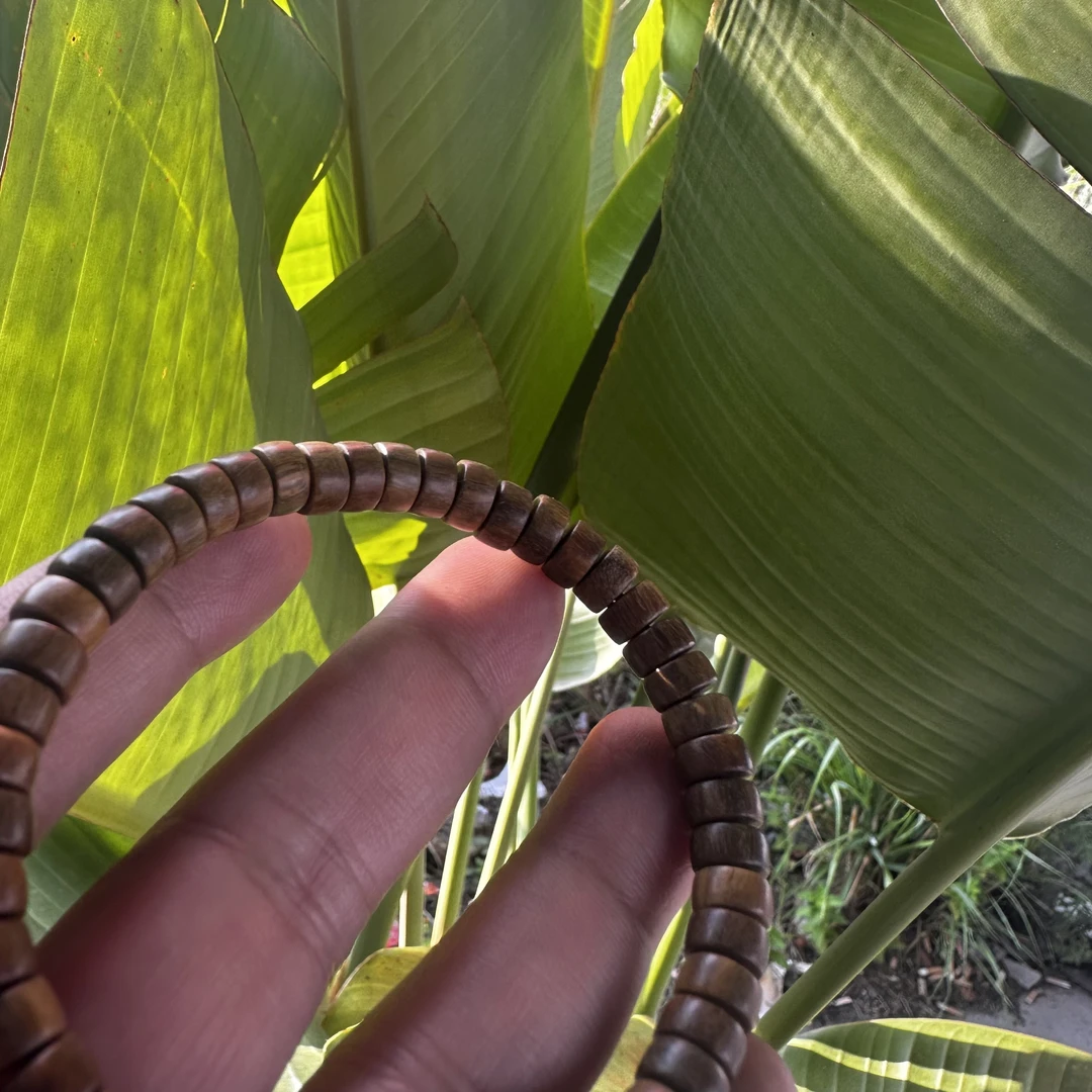 【阿雅专属土特产】93菇8g起