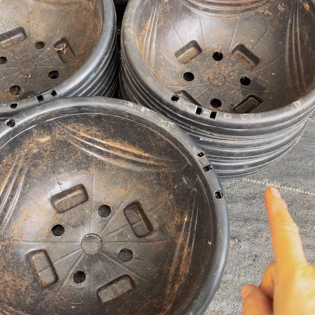 旧口径27 高13吊兰盆10个