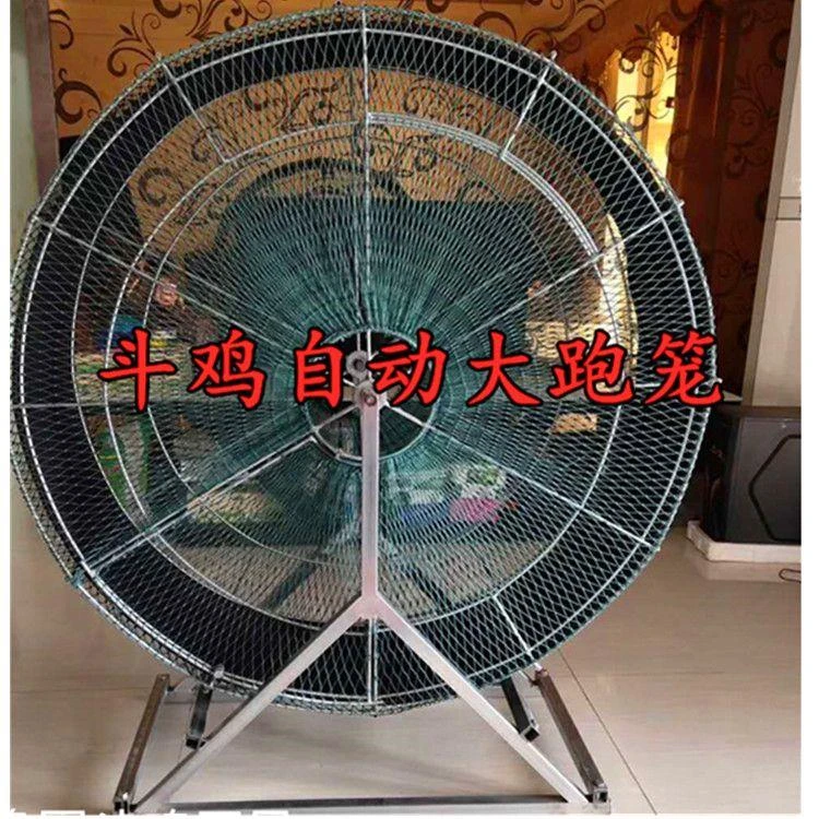 斗鸡用品斗鸡转笼斗鸡自动跑笼斗鸡跑步机斗鸡折叠跑笼斗鸡