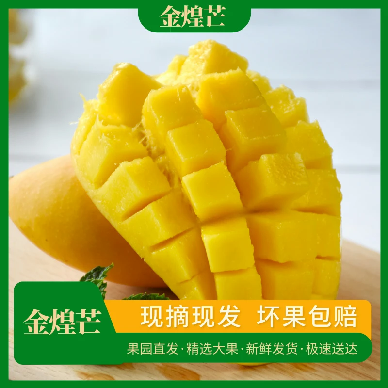 【金煌芒】【催熟后使用】新鲜采摘发货芒果整箱发货果园直发产地w