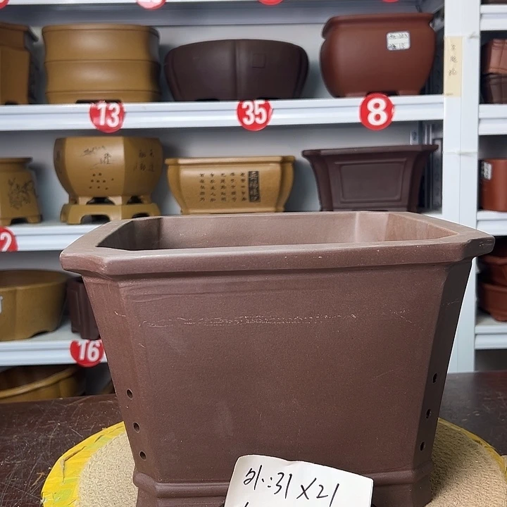 花盆紫砂你在一起