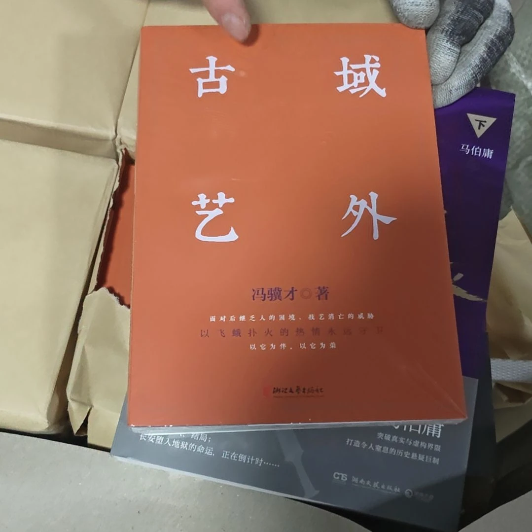 城外古艺平装库存书（冯骥才）