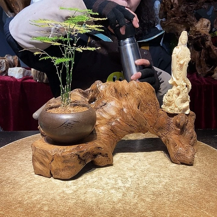 点*659。株木随行小根艺