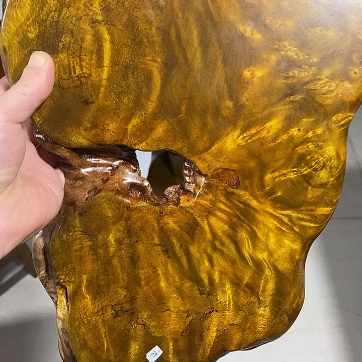 破布木（黄金檀）2222