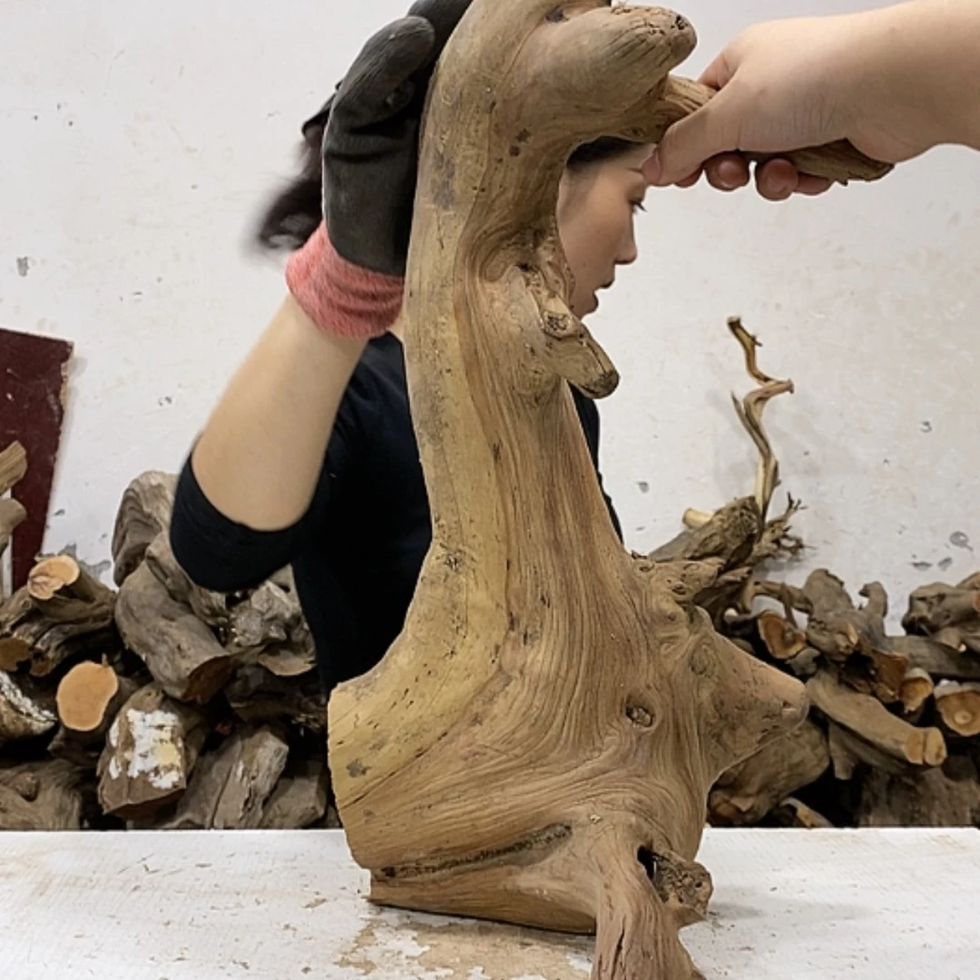 【闪购商品】柏木永****饰我们都是好孩子