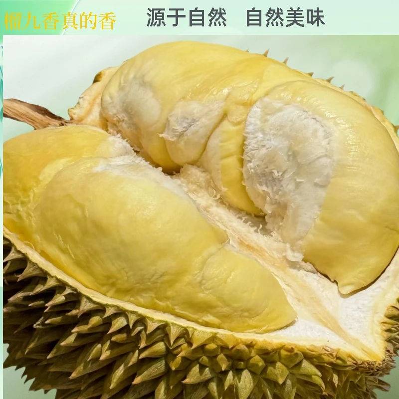 1.6斤/榴九香泰国A级树熟金枕榴莲果肉/冷冻榴莲果肉/榴莲肉/榴莲