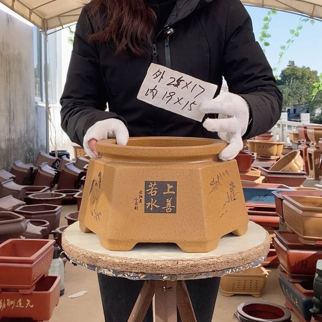 紫砂花盆紫砂花盆