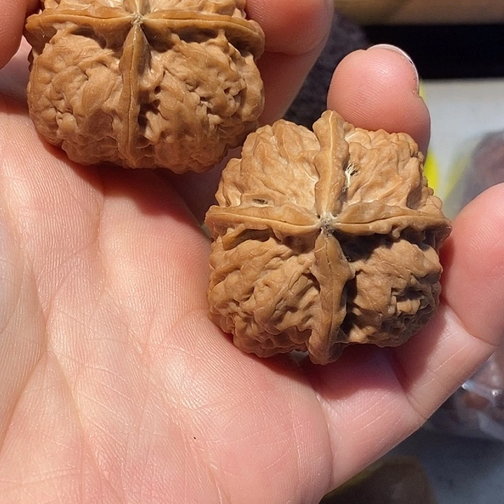 文玩核桃把件77667777777